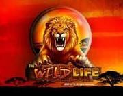 The Wild Life logo