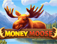 Money Moose