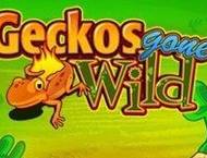 Gekos gone Wild