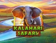 Kahalari Safari