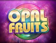 Opal Fruit