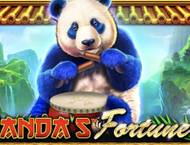 Panda Fortune 2