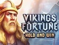 Vikings Fortune