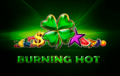 Burning Hot logo