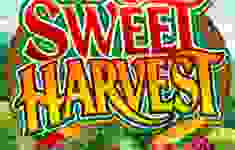Sweet Harvest logo