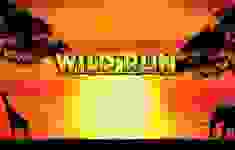 Wild Run logo