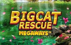 Big Cat Rescue logo