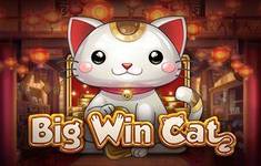 Big Win Cat logo
