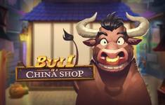 Bull in a China Shop logo