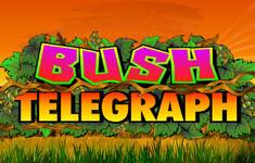 Bush Telegraph logo