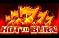Hot To Burn logo