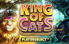 King of Cats logo