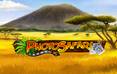 Photo Safari logo