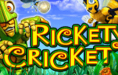 Rickety Cricket logo