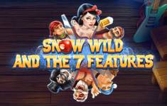 Snow Wild logo