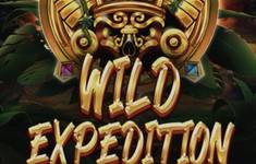 Wild Expedition logo