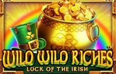 Wild Wild Riches logo