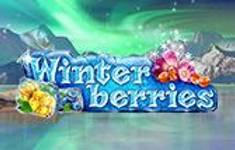 Winter Berries logo